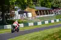 cadwell-no-limits-trackday;cadwell-park;cadwell-park-photographs;cadwell-trackday-photographs;enduro-digital-images;event-digital-images;eventdigitalimages;no-limits-trackdays;peter-wileman-photography;racing-digital-images;trackday-digital-images;trackday-photos